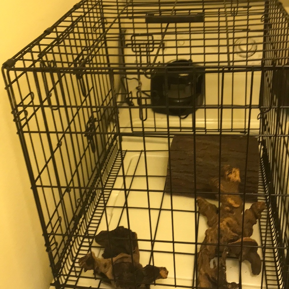 Animal cage